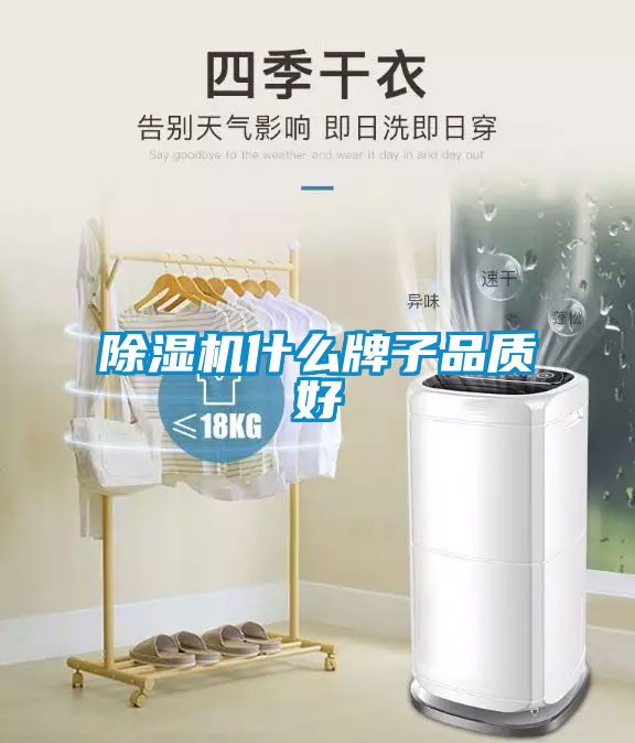 除濕機(jī)什么牌子品質(zhì)好