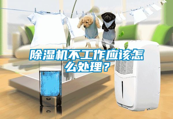 除濕機不工作應該怎么處理？