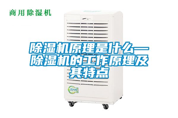 除濕機(jī)原理是什么—除濕機(jī)的工作原理及其特點