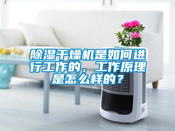 除濕干燥機是如何進行工作的，工作原理是怎么樣的？