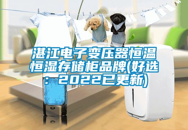 湛江電子變壓器恒溫恒濕存儲(chǔ)柜品牌(好選：2022已更新)