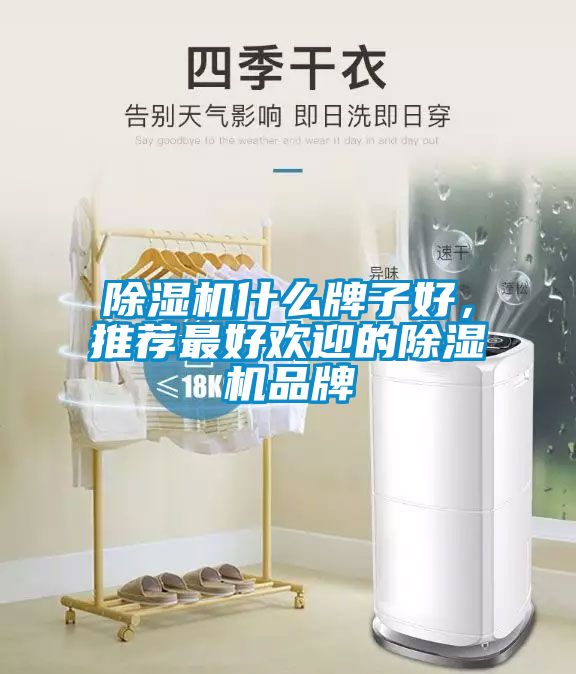 除濕機(jī)什么牌子好，推薦最好歡迎的除濕機(jī)品牌