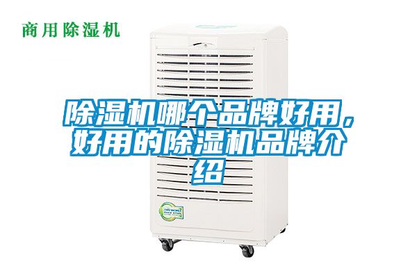 除濕機(jī)哪個(gè)品牌好用，好用的除濕機(jī)品牌介紹