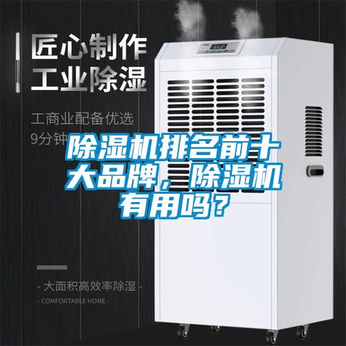 除濕機排名前十大品牌，除濕機有用嗎？