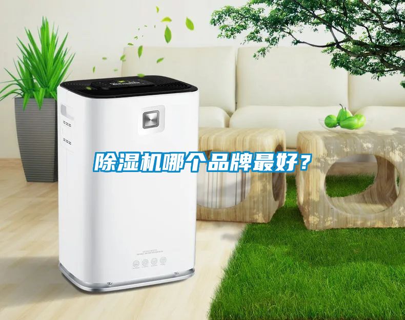 除濕機哪個品牌最好？