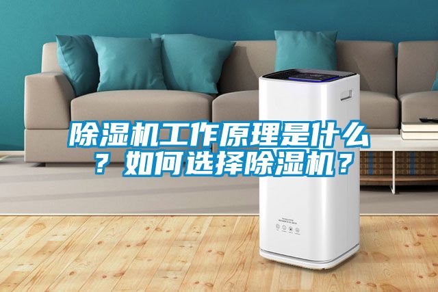 除濕機(jī)工作原理是什么？如何選擇除濕機(jī)？