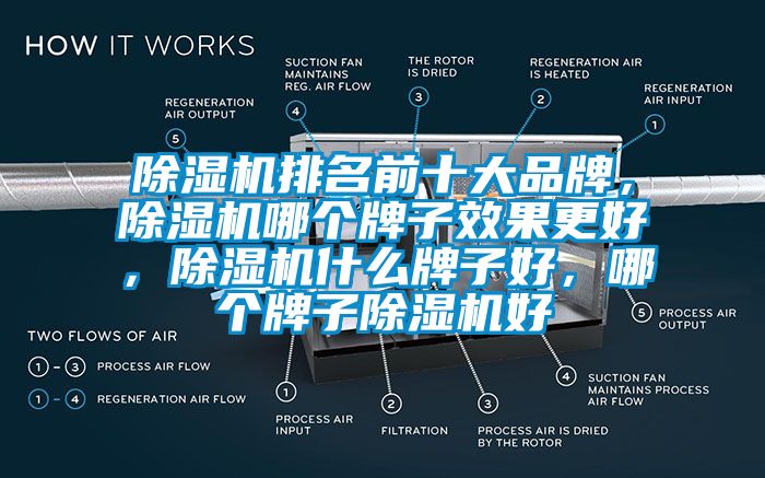 除濕機(jī)排名前十大品牌，除濕機(jī)哪個(gè)牌子效果更好，除濕機(jī)什么牌子好，哪個(gè)牌子除濕機(jī)好