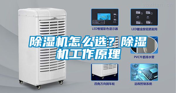 除濕機(jī)怎么選？除濕機(jī)工作原理