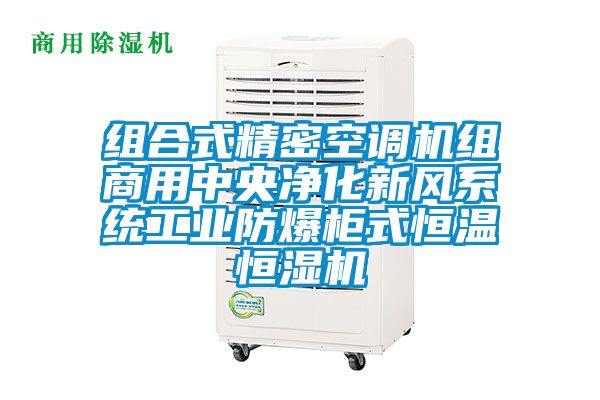 組合式精密空調(diào)機(jī)組商用中央凈化新風(fēng)系統(tǒng)工業(yè)防爆柜式恒溫恒濕機(jī)