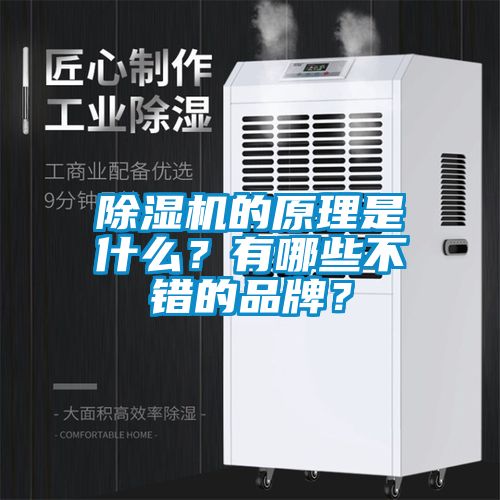 除濕機的原理是什么？有哪些不錯的品牌？