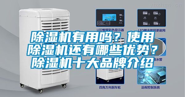 除濕機有用嗎？使用除濕機還有哪些優(yōu)勢？除濕機十大品牌介紹