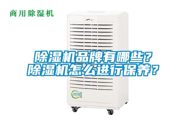 除濕機品牌有哪些？除濕機怎么進行保養(yǎng)？