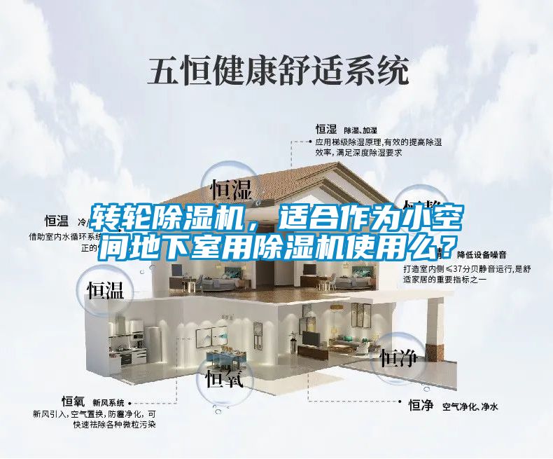 轉(zhuǎn)輪除濕機，適合作為小空間地下室用除濕機使用么？