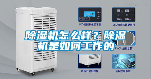 除濕機(jī)怎么樣？除濕機(jī)是如何工作的