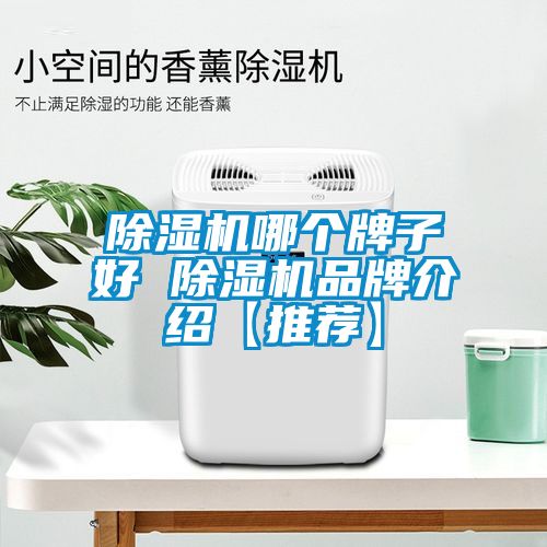 除濕機(jī)哪個牌子好 除濕機(jī)品牌介紹【推薦】