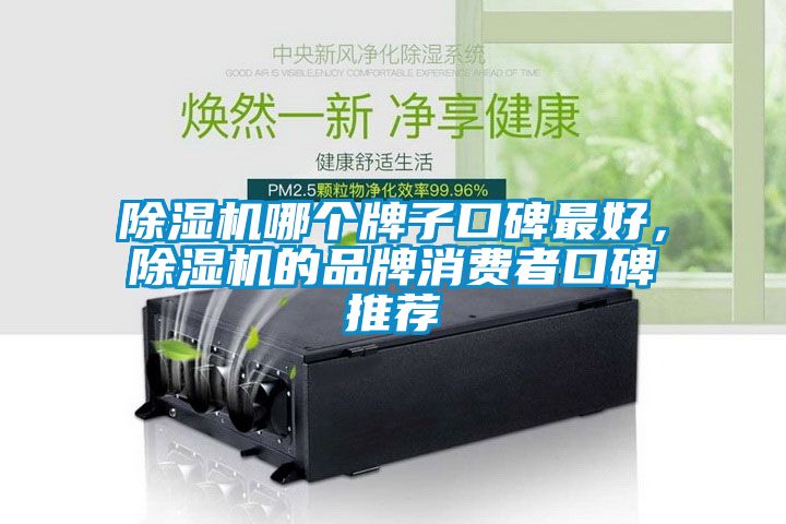 除濕機哪個牌子口碑最好，除濕機的品牌消費者口碑推薦