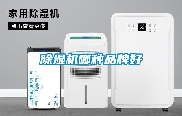 除濕機哪種品牌好