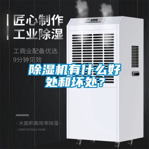 除濕機有什么好處和壞處？