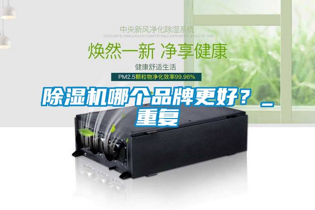 除濕機哪個品牌更好？_重復