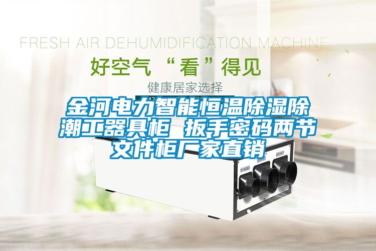 金河電力智能恒溫除濕除潮工器具柜 扳手密碼兩節(jié)文件柜廠家直銷