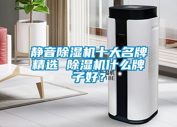 靜音除濕機十大名牌精選 除濕機什么牌子好？