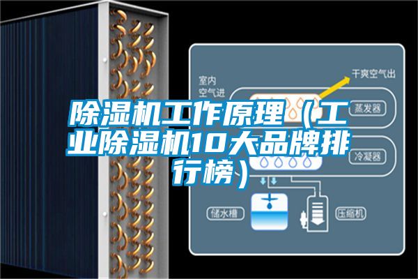 除濕機工作原理（工業(yè)除濕機10大品牌排行榜）