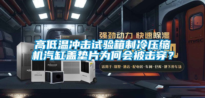 高低溫沖擊試驗箱制冷壓縮機汽缸蓋墊片為何會被擊穿？