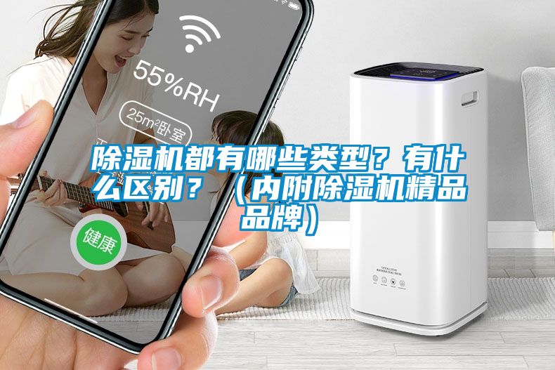 除濕機都有哪些類型？有什么區(qū)別？（內(nèi)附除濕機精品品牌）