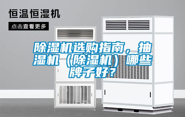 除濕機(jī)選購指南，抽濕機(jī)（除濕機(jī)）哪些牌子好？