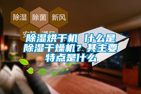 除濕烘干機 什么是除濕干燥機？其主要特點是什么