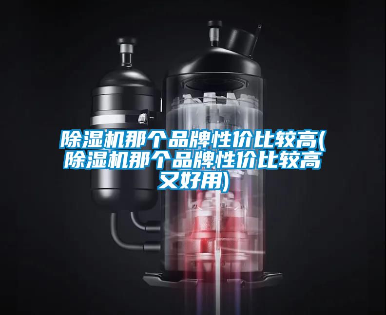 除濕機那個品牌性價比較高(除濕機那個品牌性價比較高又好用)