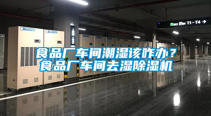 食品廠車間潮濕該咋辦？食品廠車間去濕除濕機(jī)