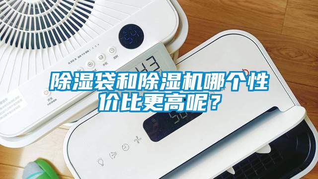 除濕袋和除濕機哪個性價比更高呢？