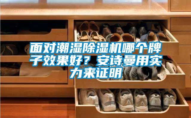 面對潮濕除濕機哪個牌子效果好？安詩曼用實力來證明